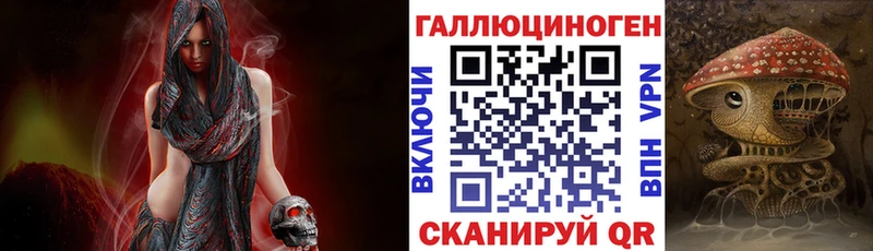 где продают наркотики  Вытегра  Галлюциногенные грибы Cubensis 